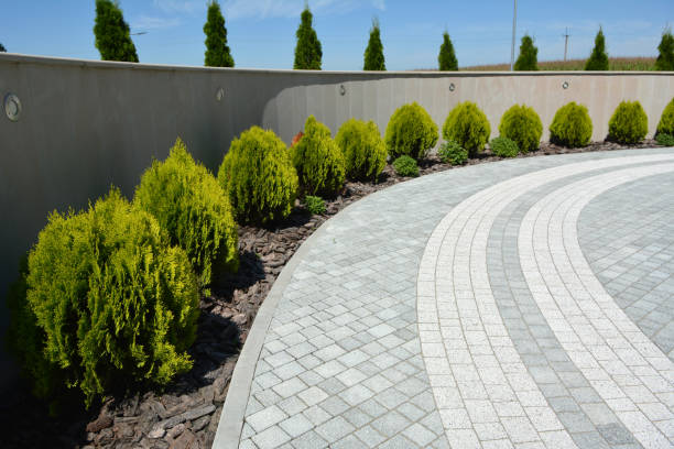 Best Residential Driveway Paver Services  in Dawsonville, GA